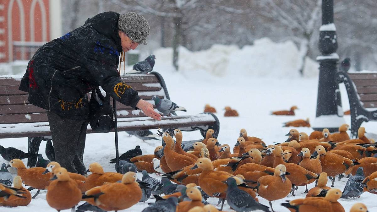    Фото: Василий Кузьмиченок / АГН Москва