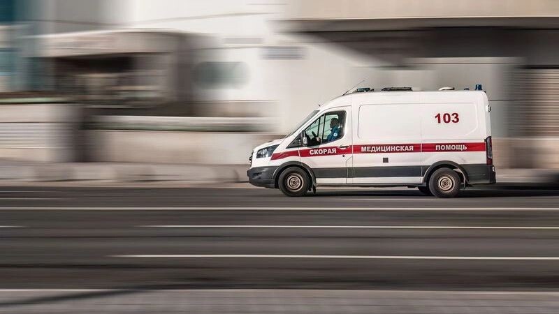    Фото: Haggardous50000/Shutterstock/Fotodom