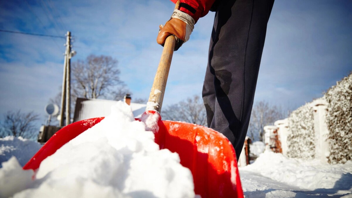    Фото: Anna_Kuzmina/Shutterstock/Fotodom