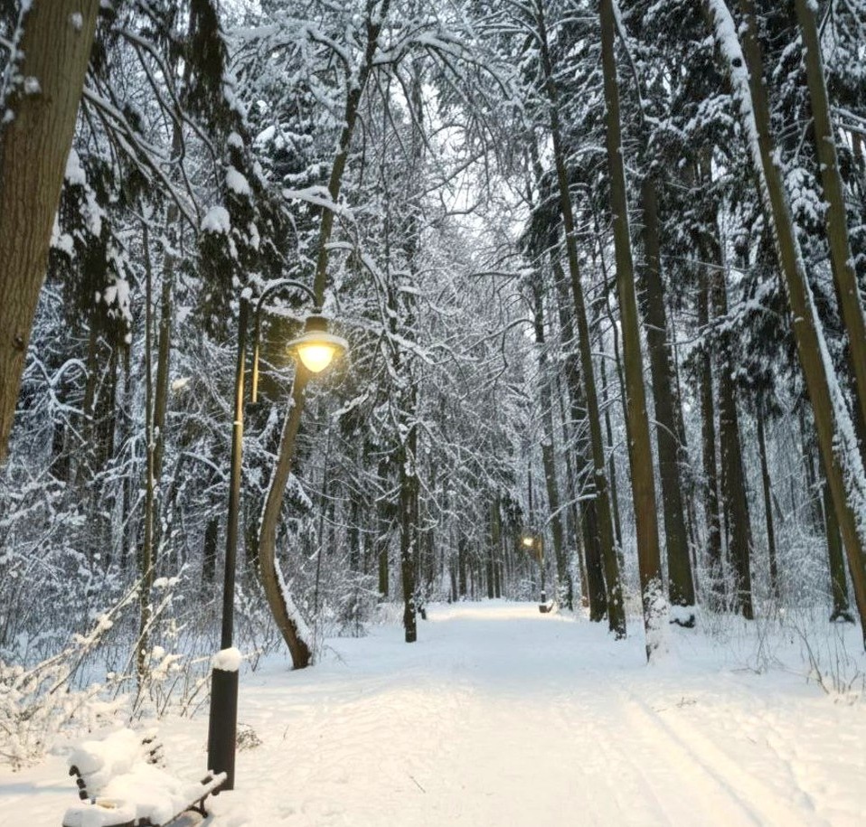 Фото Елены Шантаренко t.me/moscow_mylove