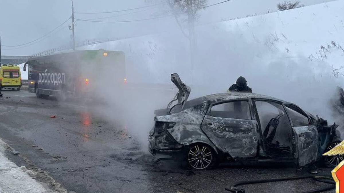    Фото: пресс-служба ГУ МВД России по Московской области / Telegram