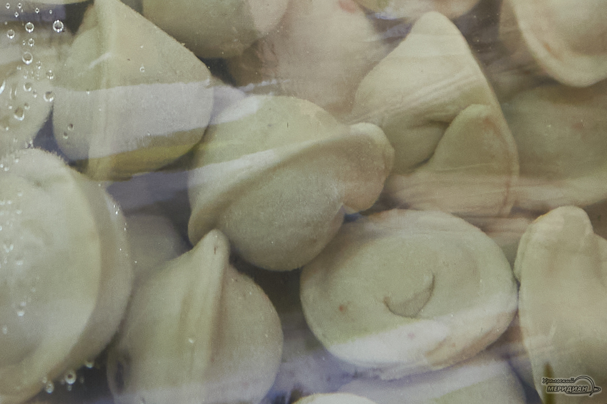    Фото: Лидия Аникина © ИА «Уральский меридиан»