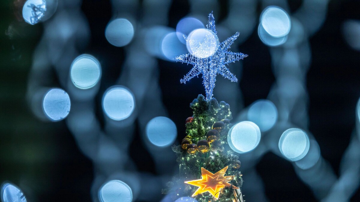    Фото: Федор Воронов / «Ямал-Медиа»