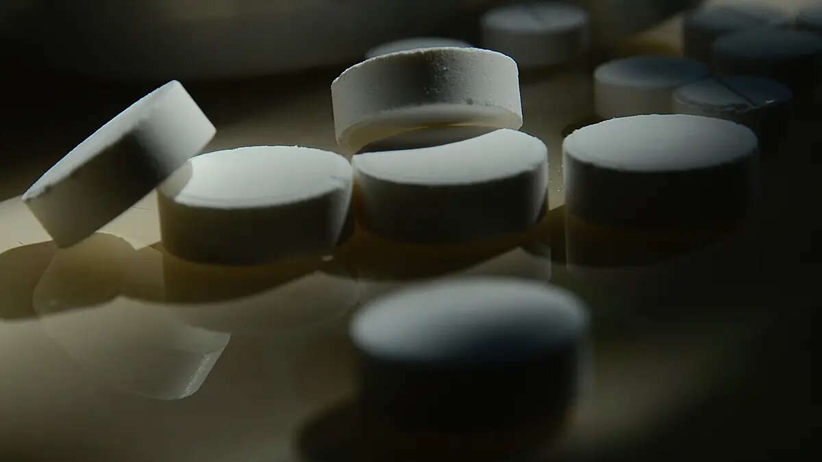    Фото: vm.ru Олеся Шмелева