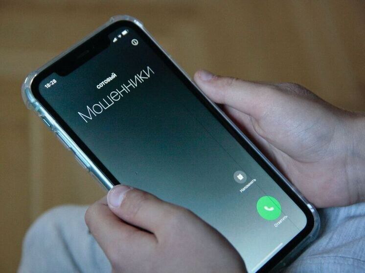     Злоумышленники от имени магазинов предлагают купить товары по заниженным ценам. Фото: архив МК в Питере