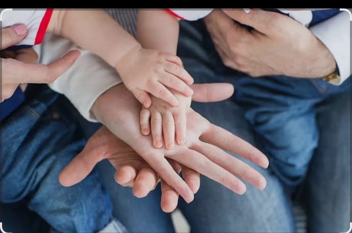 Фото взято из открытого доступа интернет 