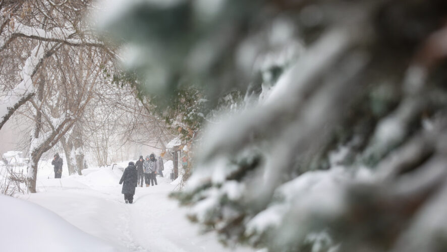    Фото: KazanFirst