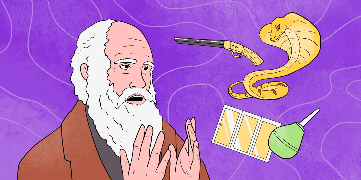 Фото из свободных источников.