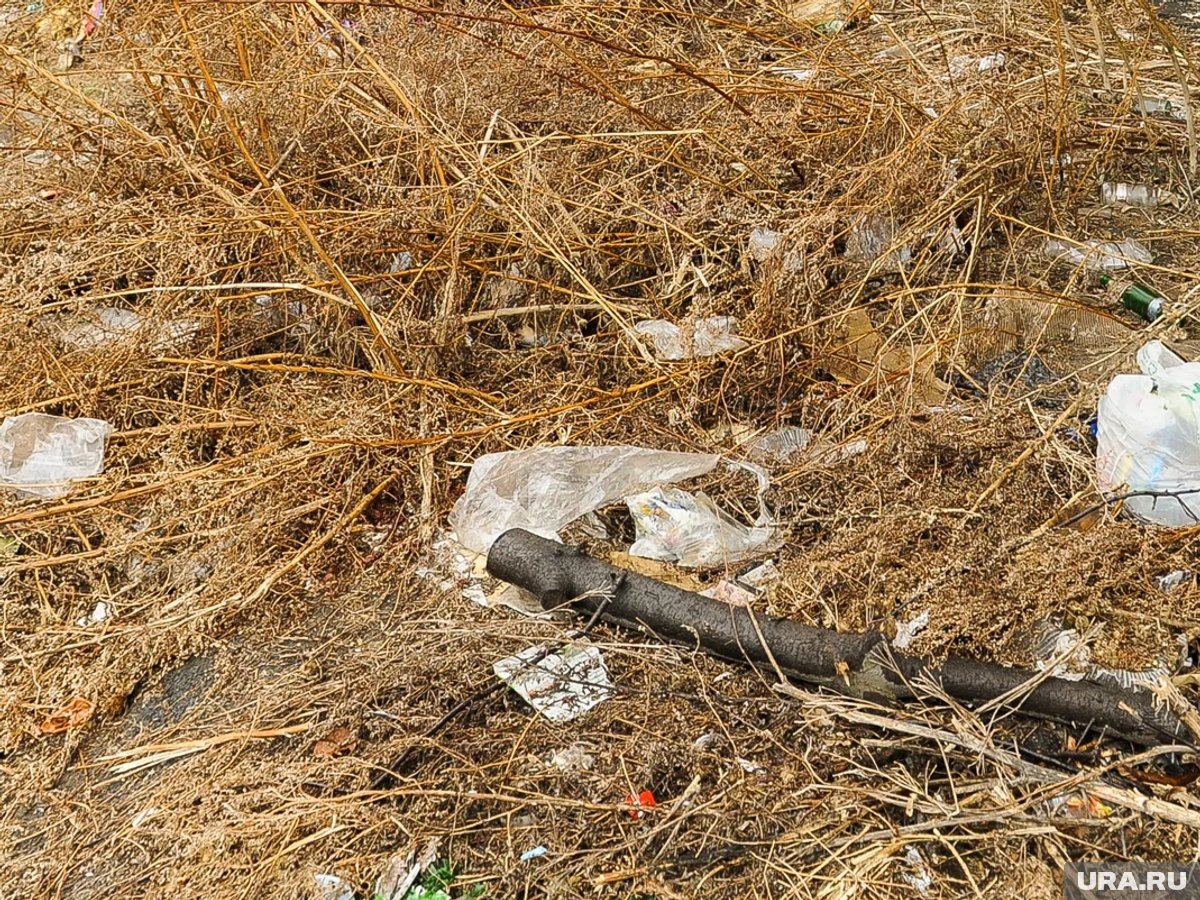     Власти курганского города Далматово поспорили с прокуратурой из-за незаконной свалки