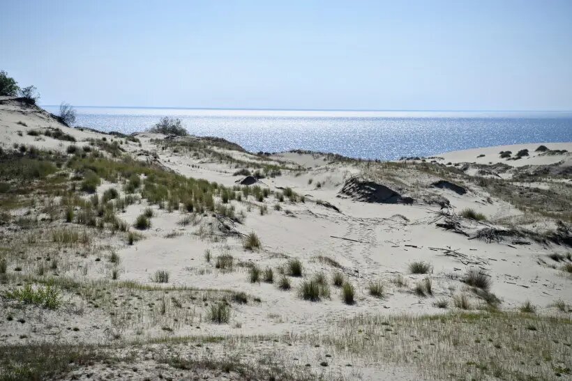     © РИА Новости. Илья Питалев