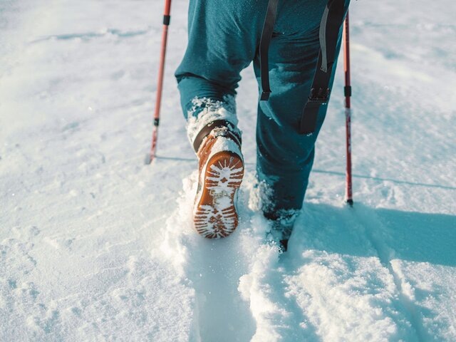    Фото: 123RF.com/irinashatilova