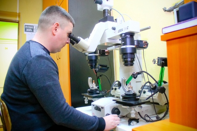    Фото: АиФ/ Александра Бокова