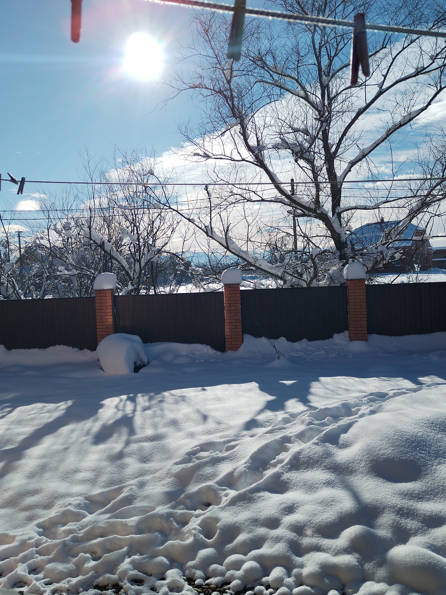 Южная зима 15.01.26 год. 