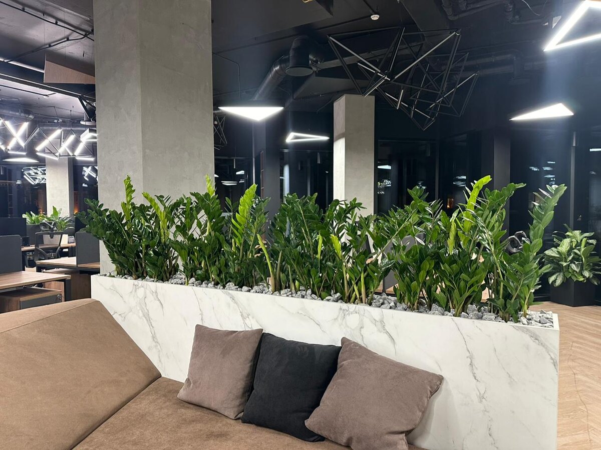 Озеленение офиса от NatureWalls