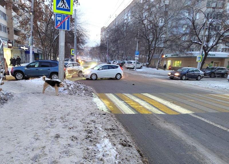    Фото Телеграм-канала «Госавтоинспекция России» Валерия Стальная