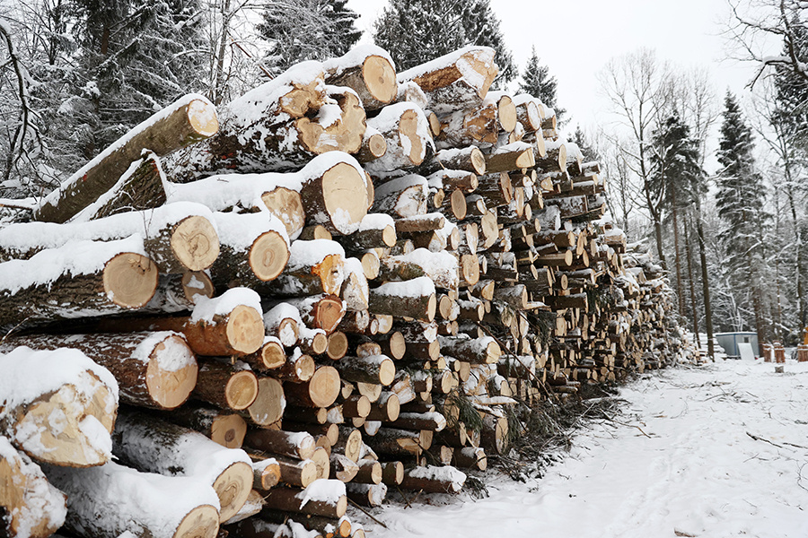    © Сергей Савостьянов/ТАСС