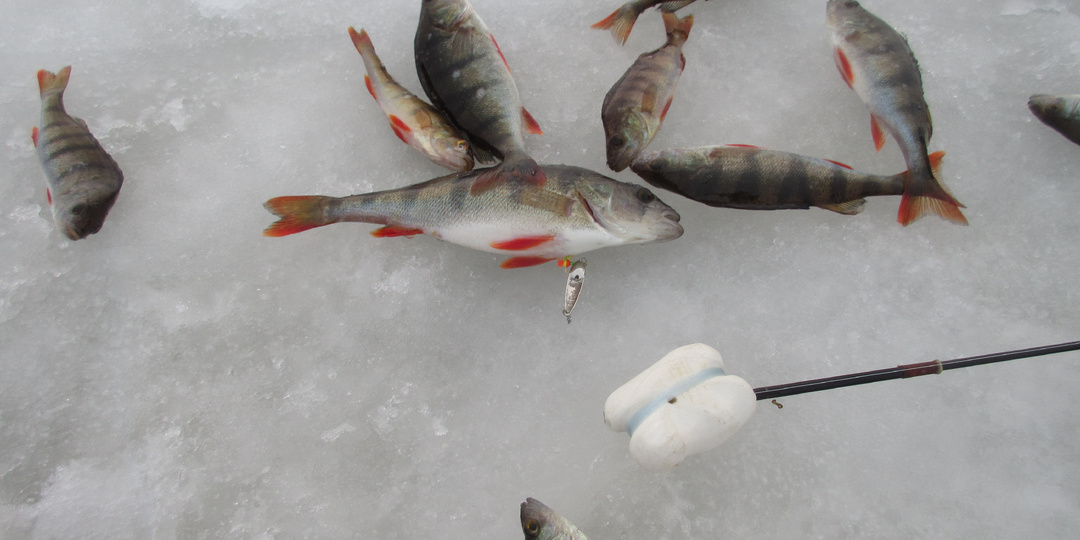 Когда осень не заканчивается или рыбаки в ожидании льда