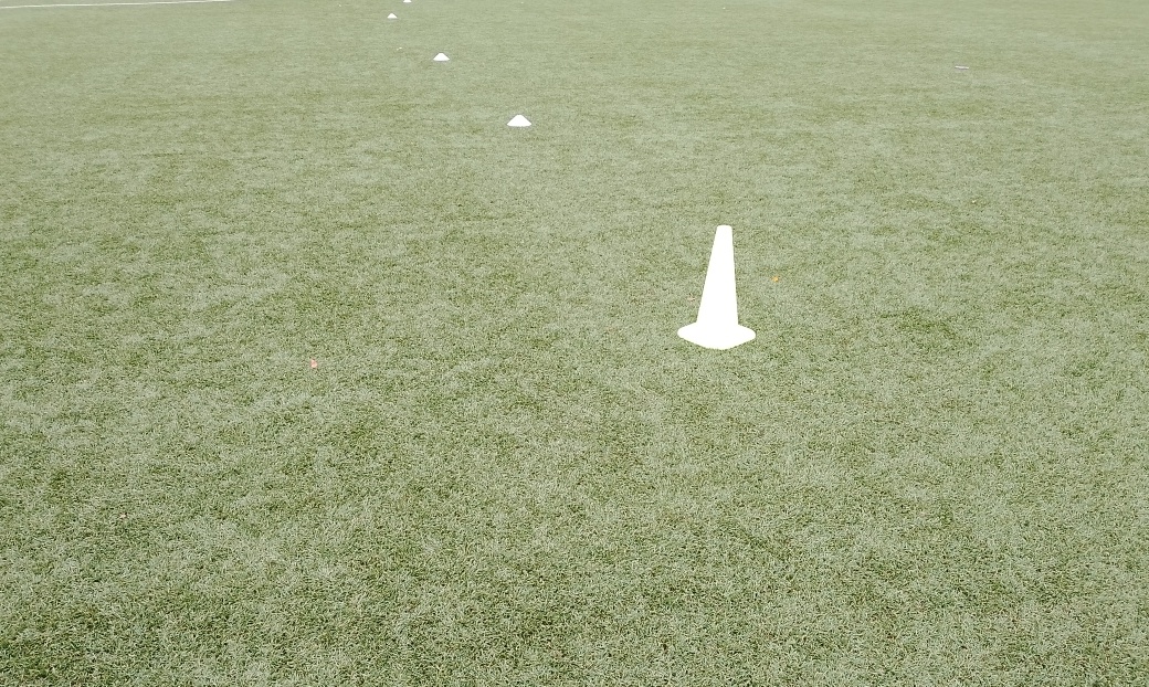 Фото: Neva.Today