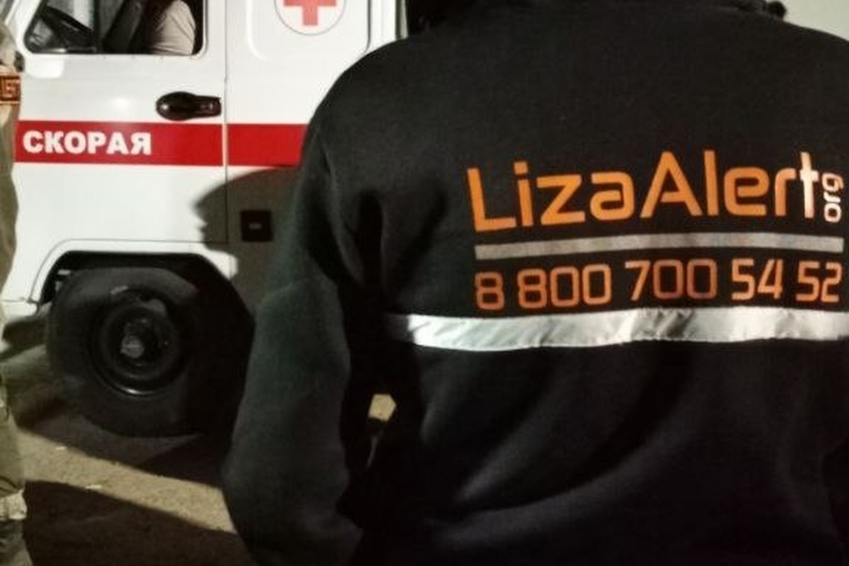    Фото: Поисковый отряд "ЛизаАлерт" Воронежской области, источник: vk.com/liza_alert_vrn