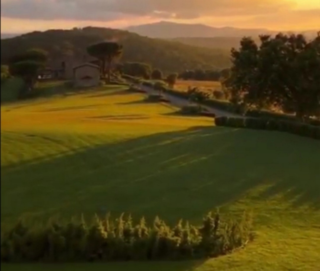 Деятельная духовная созерцательность позволяет через наблюдение за собой соблюдать заповеди, и через это избежать болезней как телесных, так и душевных