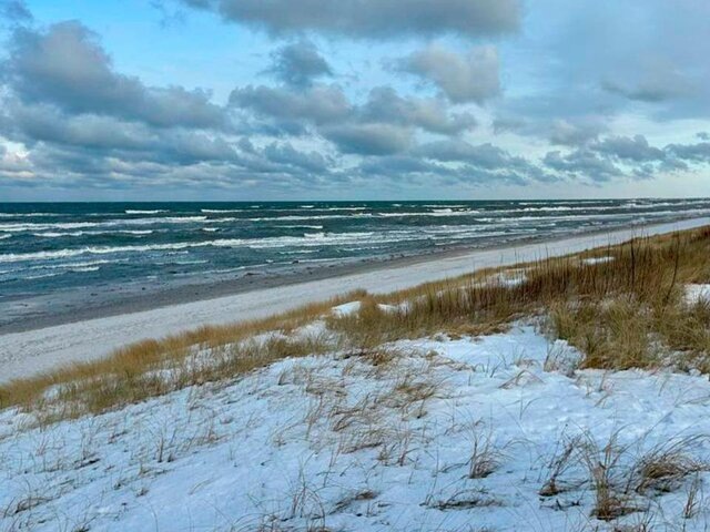    Фото: телеграм-канал "Куршская коса"