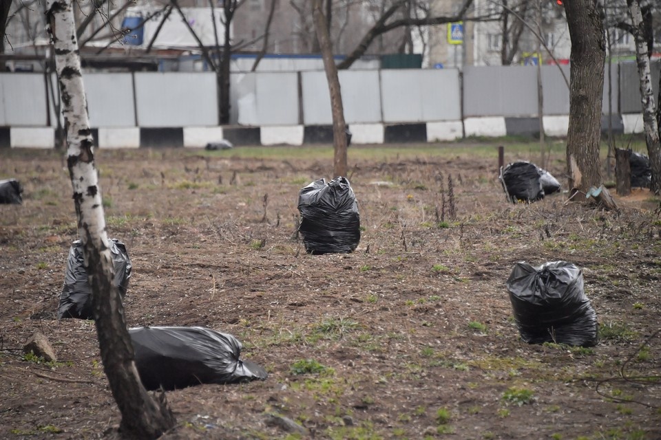    Заказчиком выступало МАУ «Парки Самары» Владимир ВЕЛЕНГУРИН