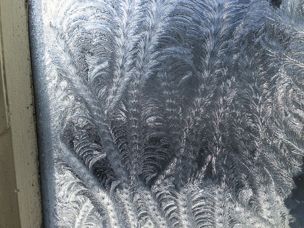 Крещенские узоры-2016 на оконном стекле нашего дома в Старом Крыму.