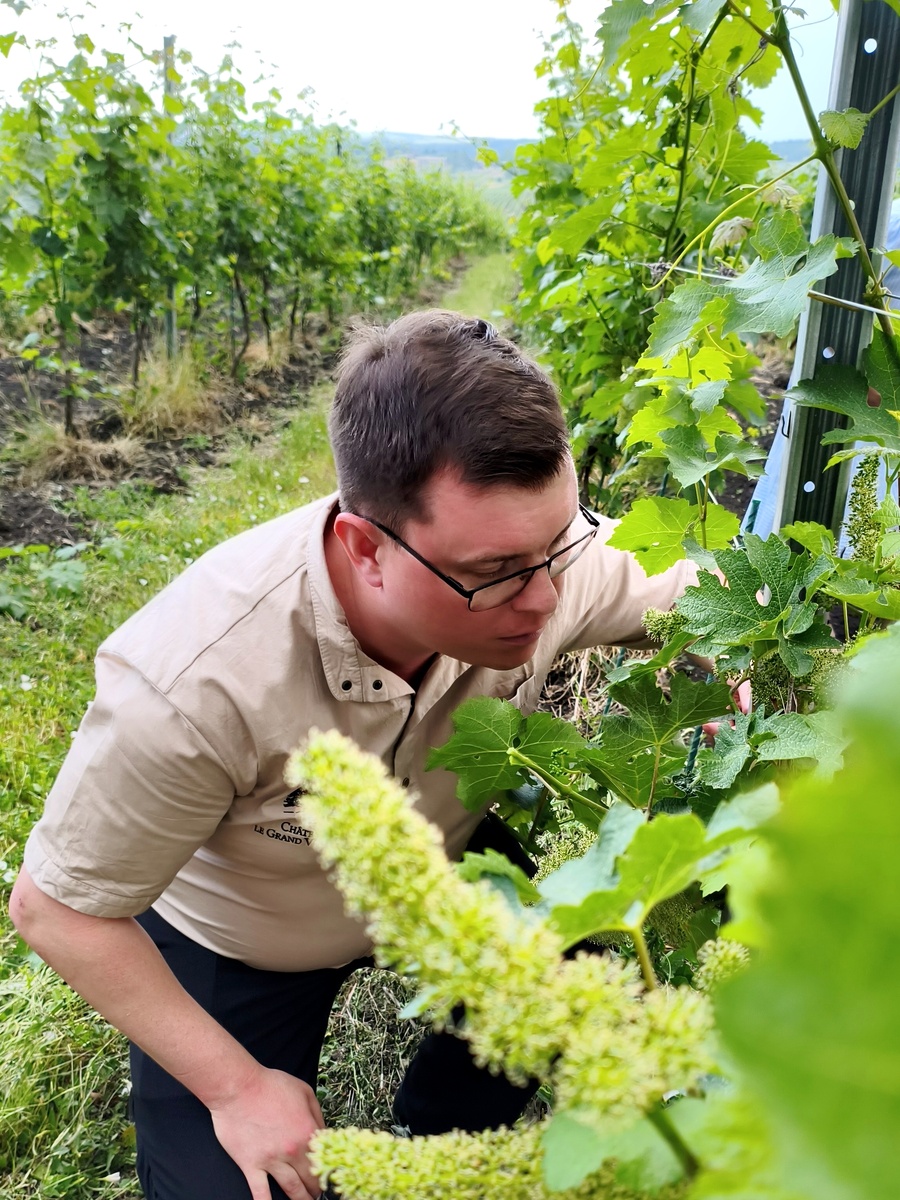 Максим Дьяченко на цветущих виноградниках