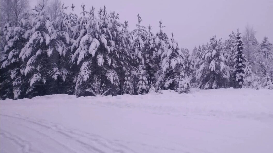    Фото: Телеканал Царьград