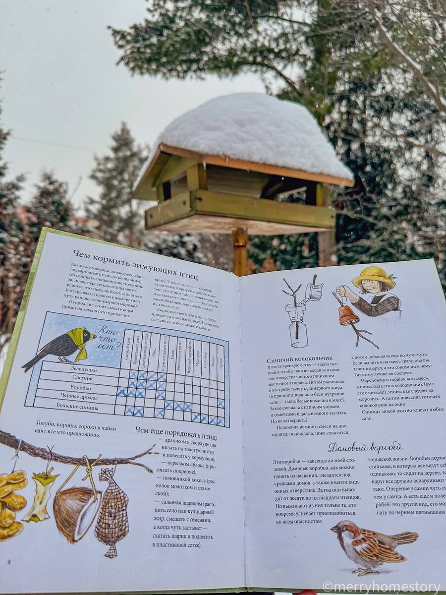 Календарь Линнеи
Кристина Бьорк, 
Илл. Лена Андерсон
Изд. Белая Ворона