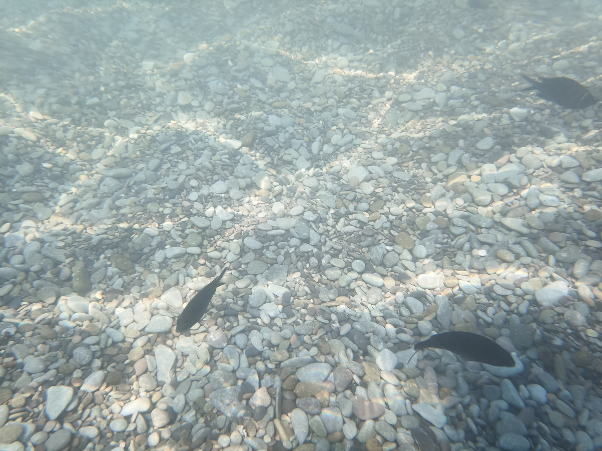 Ялта, 2024 год