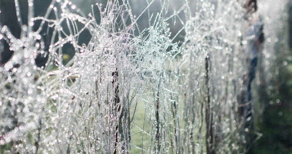 Вам постоянно приходится «удобрять» чужие проблемы? Пора ставить забор.