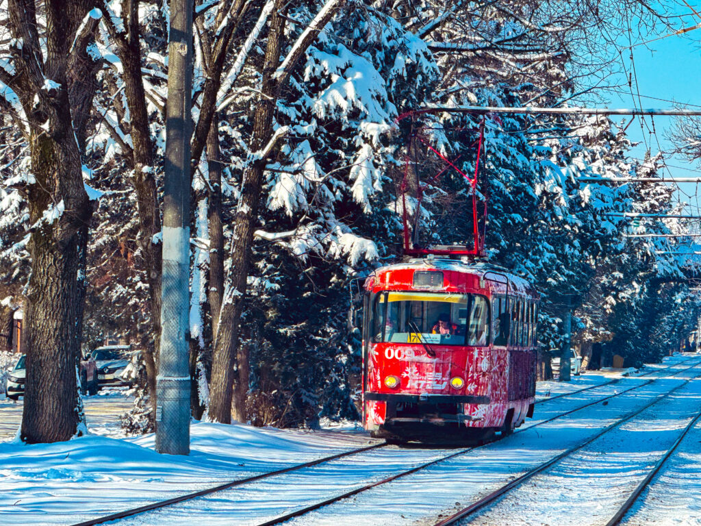    Фото: Варвара Вострокнутова, «КИ»