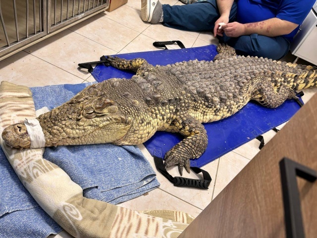 Иллюстрации:  https://vk.com/balu62r?w=wall-52667250_1316&ysclid=mkarri3u9j593398950