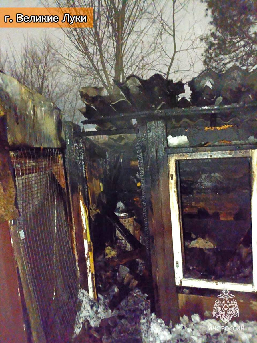 Фото: пресс-служба ГУ МЧС России по Псковской области