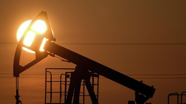    © Sputnik / Максим Богодвид