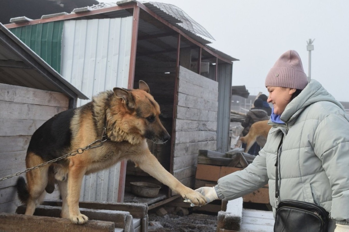   скриншот страницы ВК "Региональная общественная приемная в Татарстане"