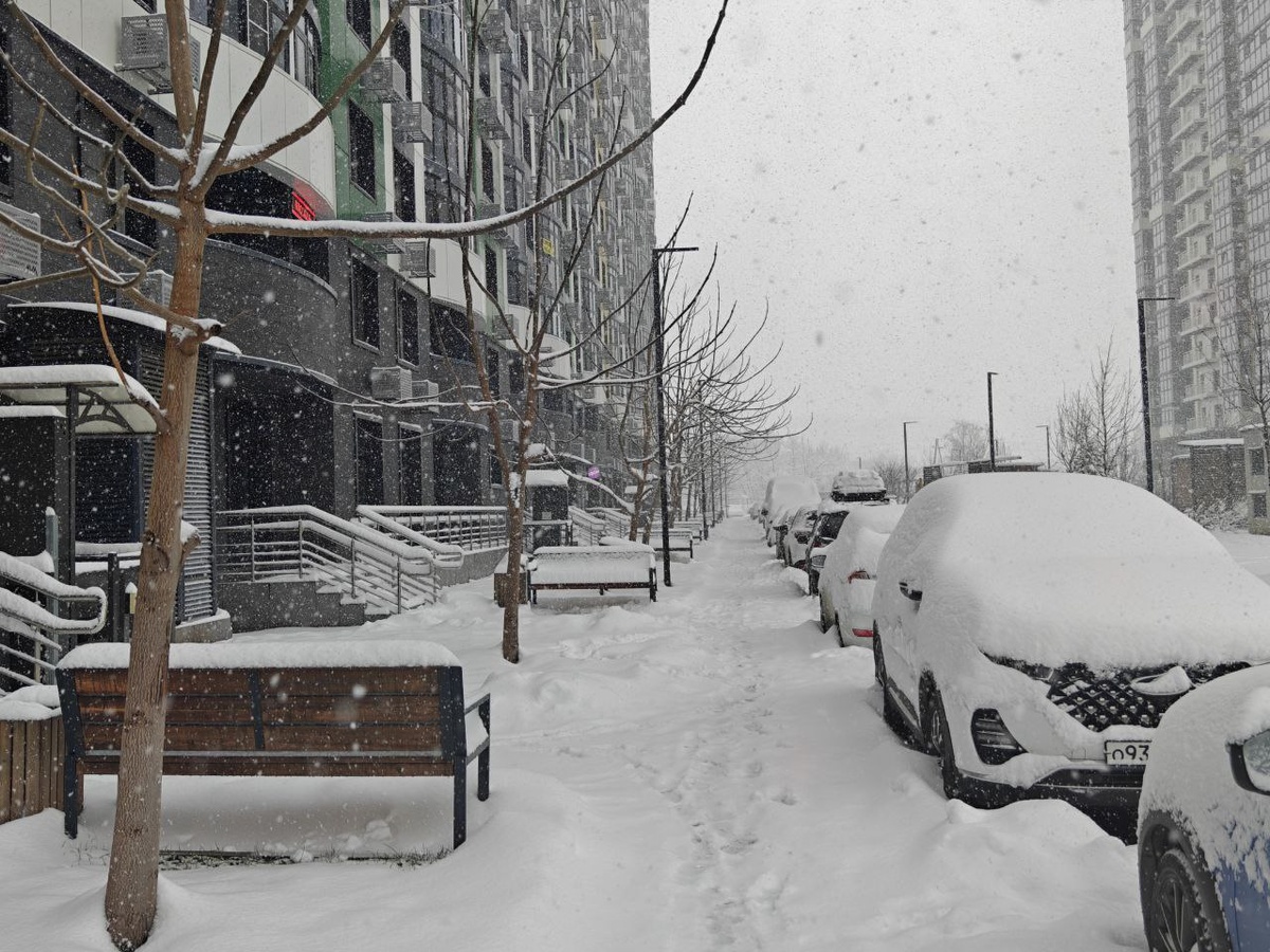    Фото: Юрий Серебренников/BFM Кубань