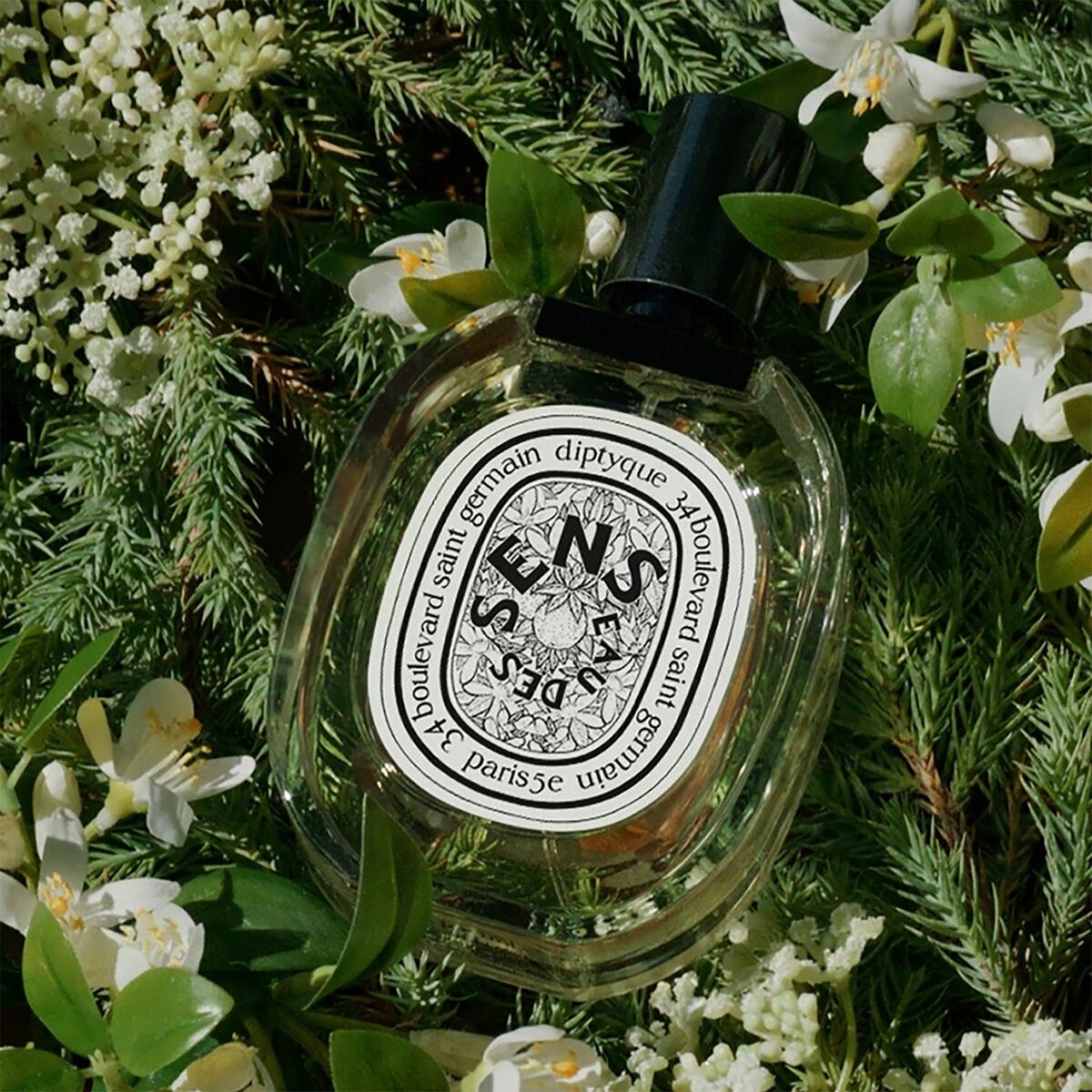 2016 год, парфюмер Оливье Пешо