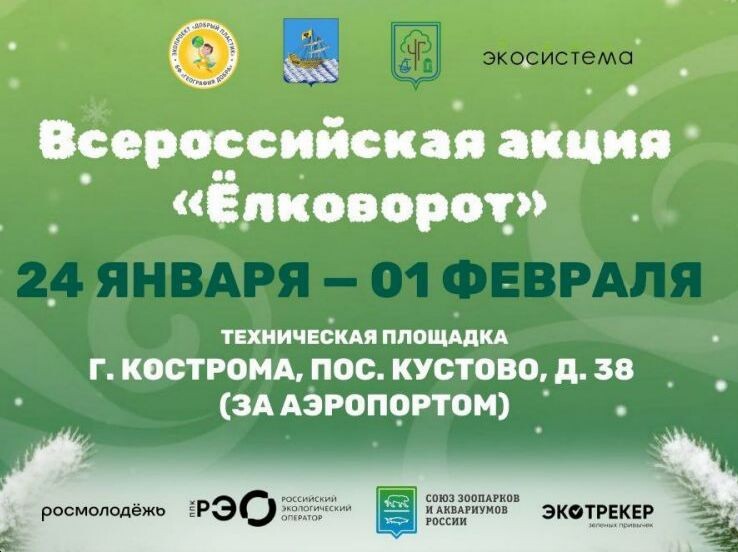 Фото Администрация города Костромы. 