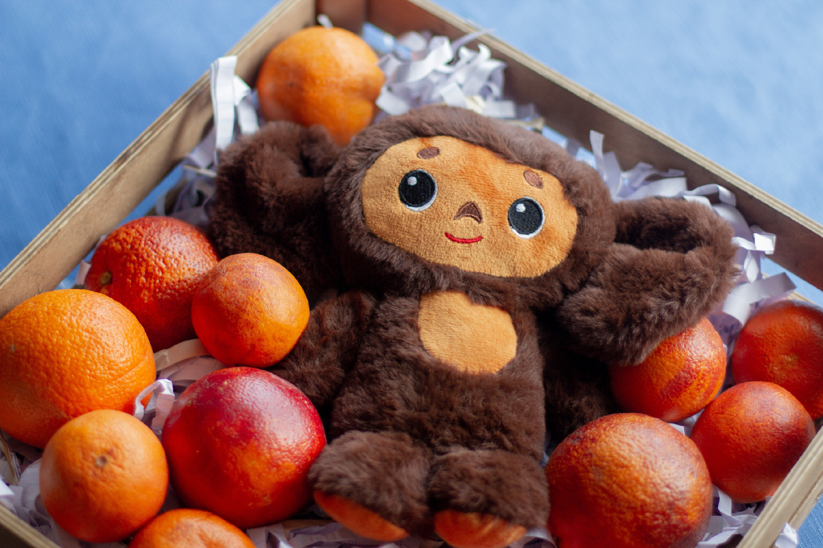 @Risha55/Shutterstock.com 