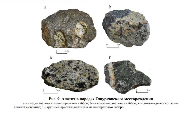 Источник: news.myseldon.com
