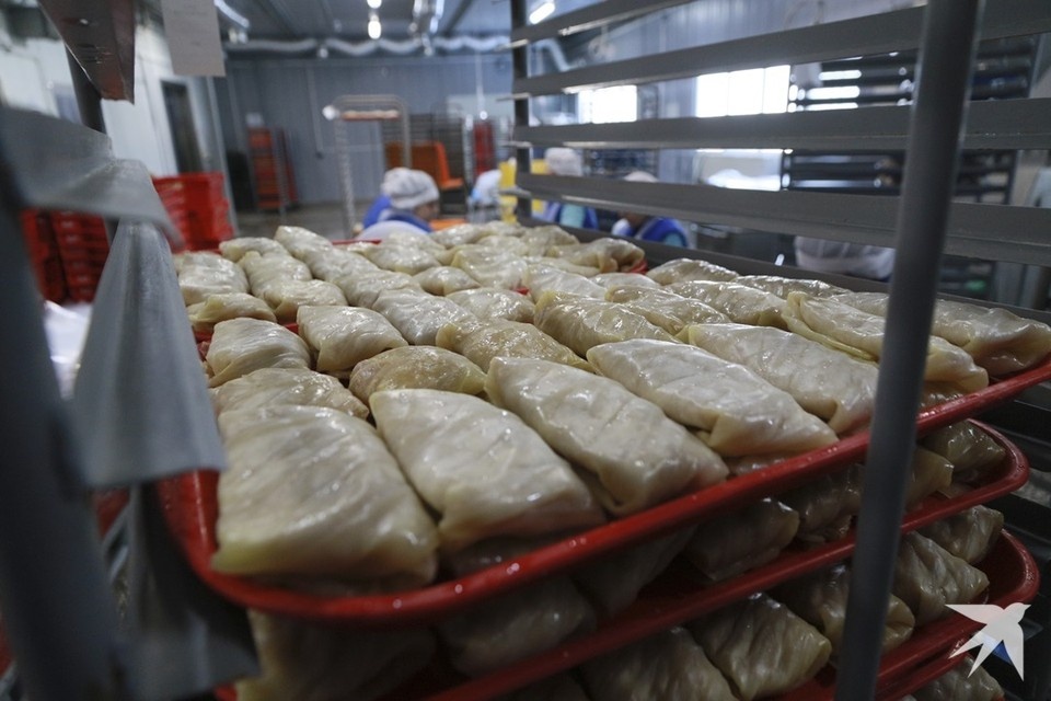    В Свердловской области обнаружили голубцы и вареники с сальмонеллой Олег УКЛАДОВ