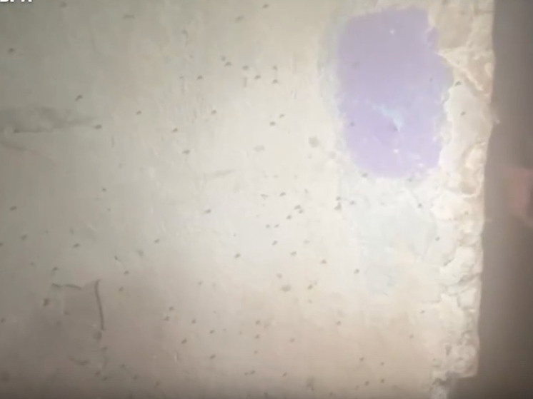     фото: страница ВКонтакте Народного фронта Мурманской области.