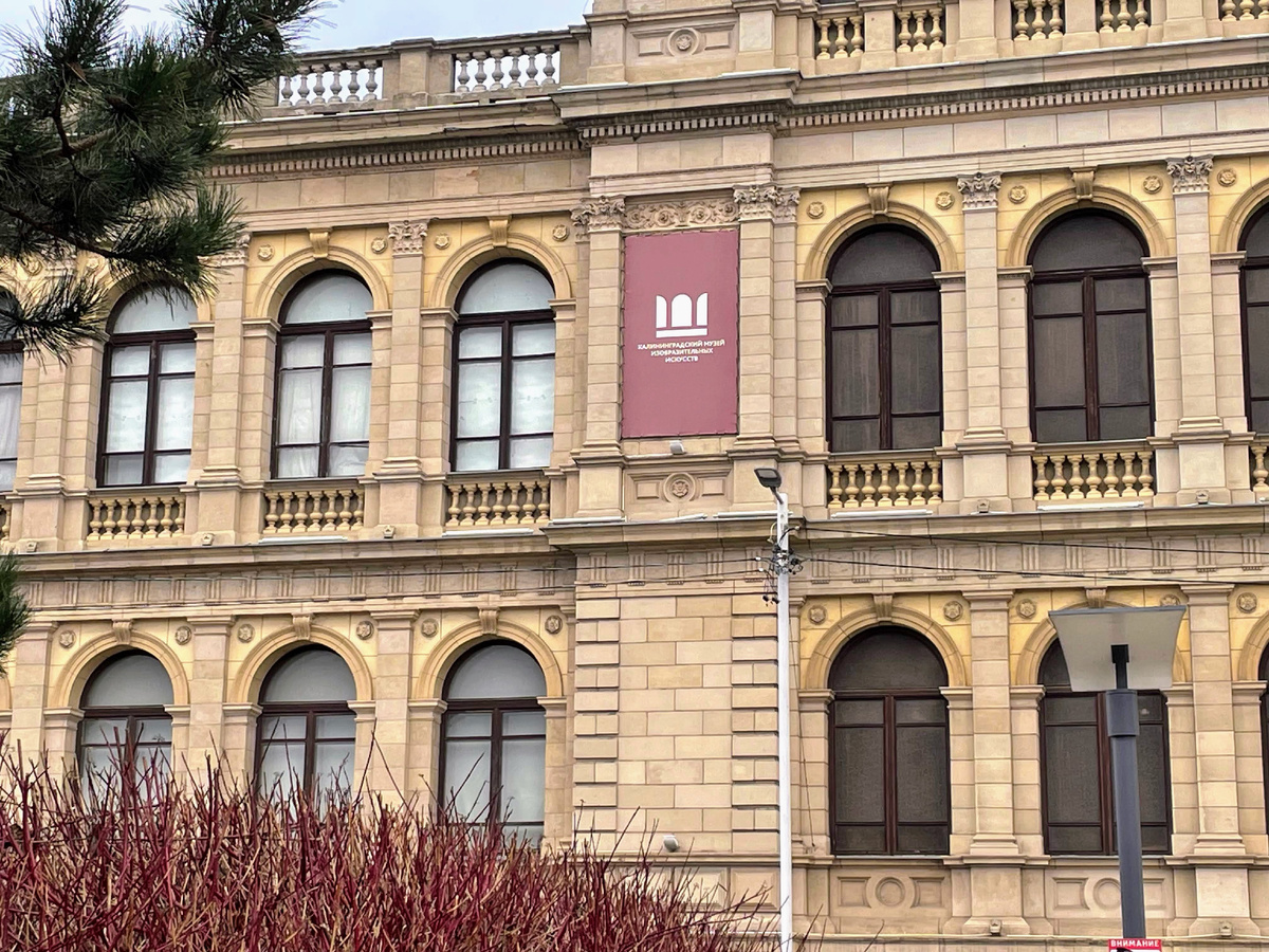 Музей изобразительных искусств