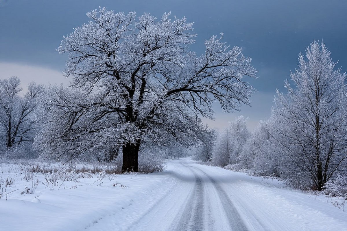    Фото: коллаж RuNews24.ru