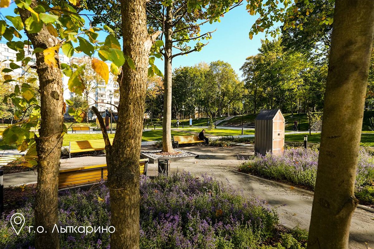    Фото: Пресс-служба губернатора Московской области, источник: mosreg.ru