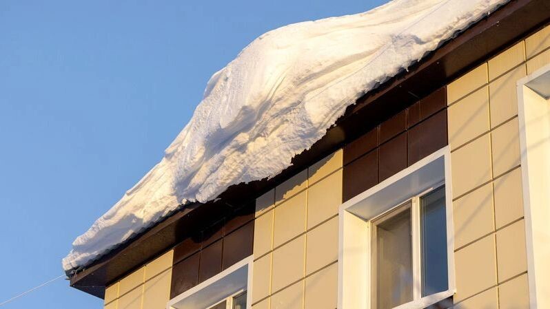    Фото: Федор Воронов/«Ямал-Медиа»