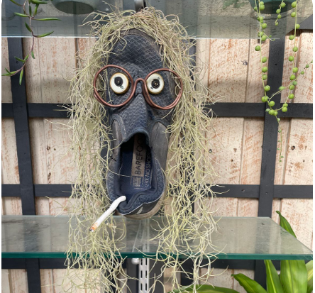 Фото из открытого источника.