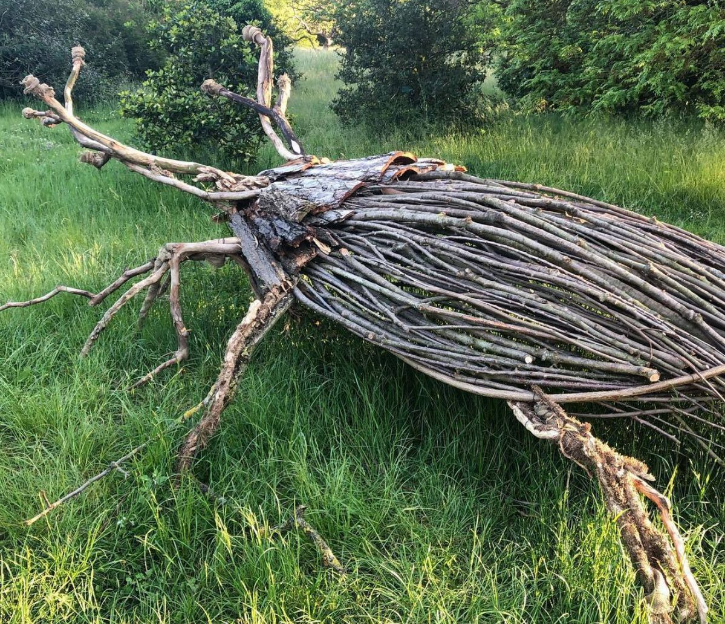 Фото взято из свободного доступа.